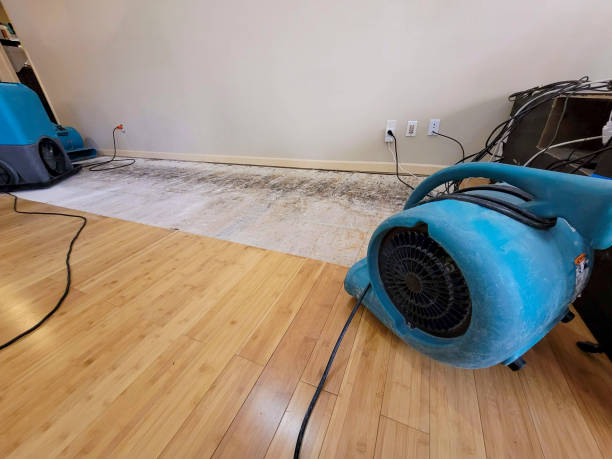 Professional Water Removal technician working in Pomeroy, OH